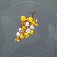 フルメタルグレープ