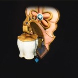 ファンシーな壁かけ照明