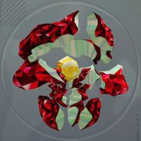 ディザスターコア