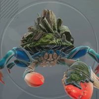 キャッスルロード