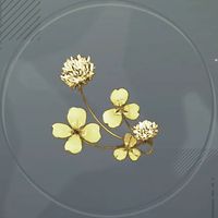 幸せクローバー