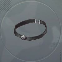 軍師のチョーカー