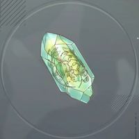 シーリングハーブ