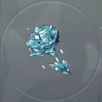 アイスカーネーション