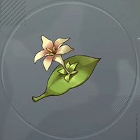 ルブルムリリー