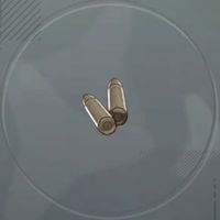 ニーナ用の銃弾