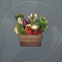 初級食材セット