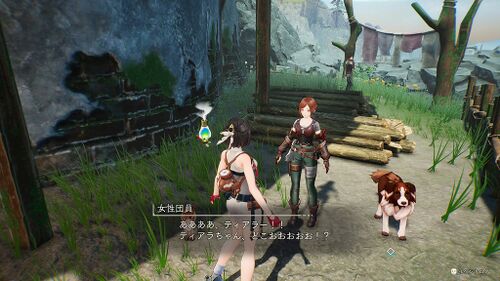 ペットを探しています3