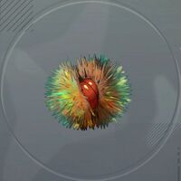 スクラップうに