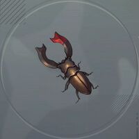 マグネットビートル