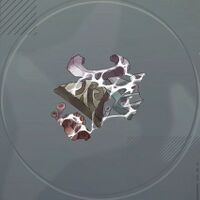 菌糸纏う谷の遺宝