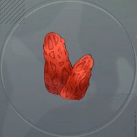 ゲキヤバイタケ