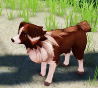 犬.webp