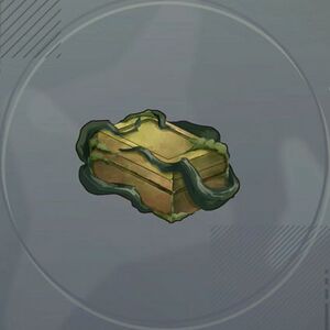 苔むした森の遺宝