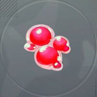 ぷにぷに玉・赤