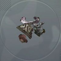 埋もれた森の遺宝