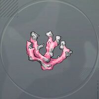 マインコーラル