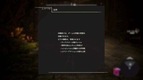 体験版について