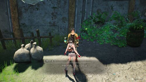 畑荒らしを退治せよ