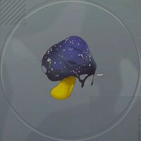 ヨルノキフジン