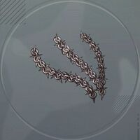 マリシャスチェーン