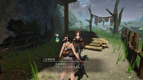 ペットを探しています