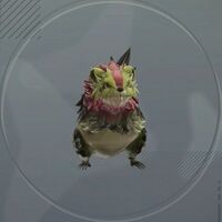 グリムビーバー