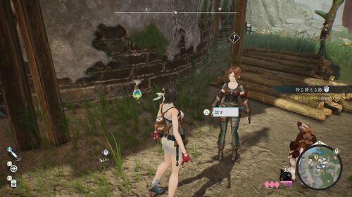 ペットを探しています2