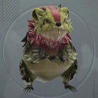 シャロウウィール