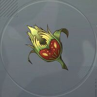 フュメパルファム