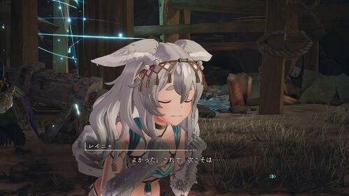 ニーナに対する思い