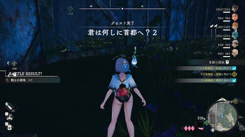 君は何しに首都へ？2