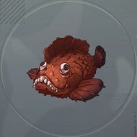 ロックフィッシュ