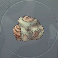 古代生物の化石