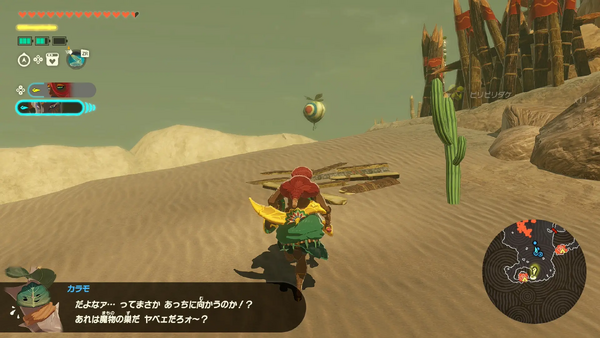 コログのミの場所