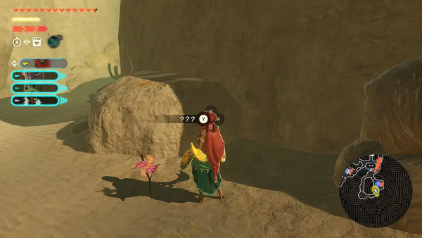 コログのミの場所