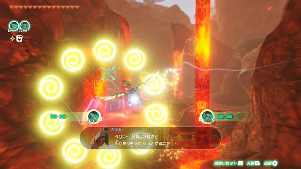 コログのミの場所