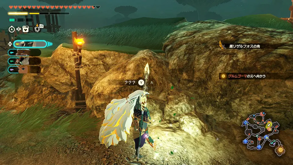 コログのミの場所