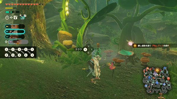 コログのミの場所