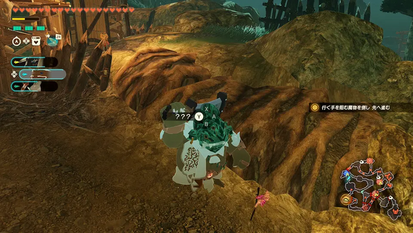 コログのミの場所