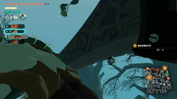 コログのミの場所