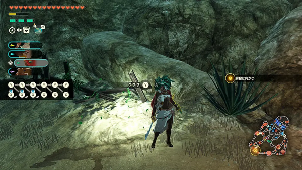 コログのミの場所