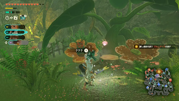 コログのミの場所