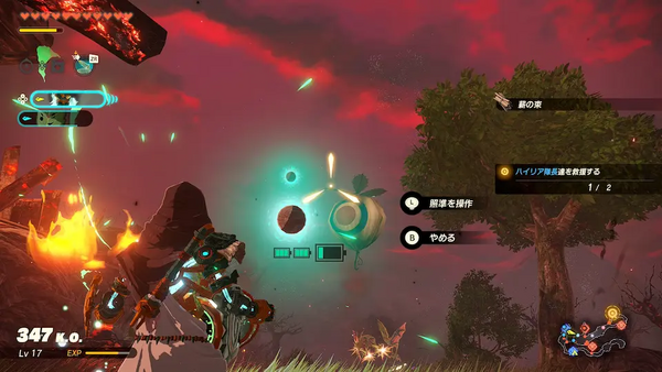 コログのミの場所