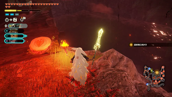 コログのミの場所