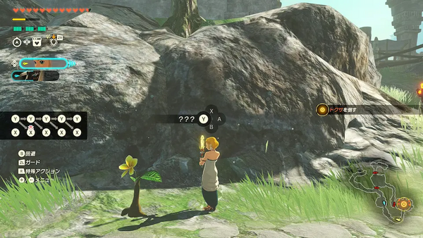 コログのミの場所