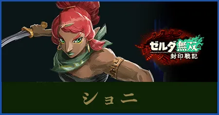 ショニのステータスと武器