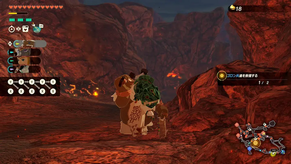 コログのミの場所