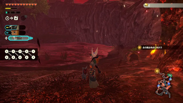 コログのミの場所