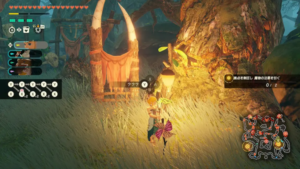 コログのミの場所